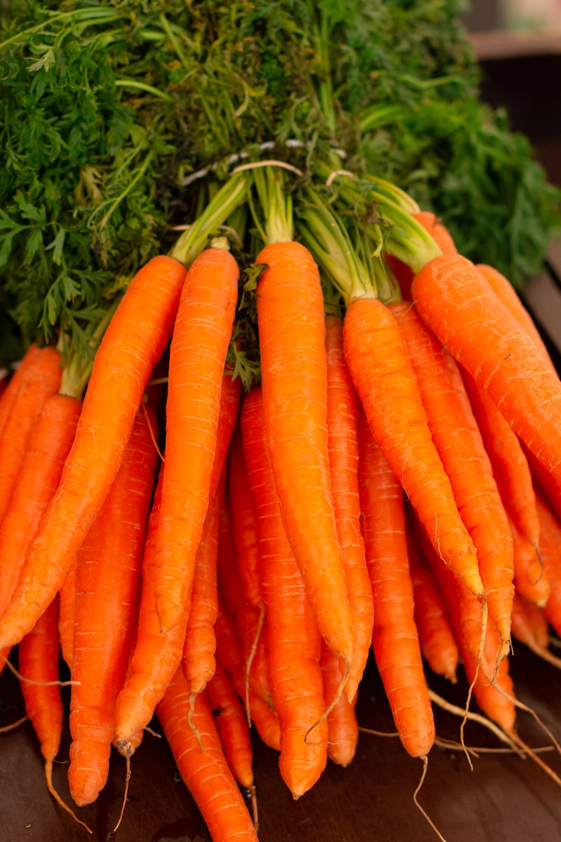 Zanahorias — betacaroteno y antioxidantes